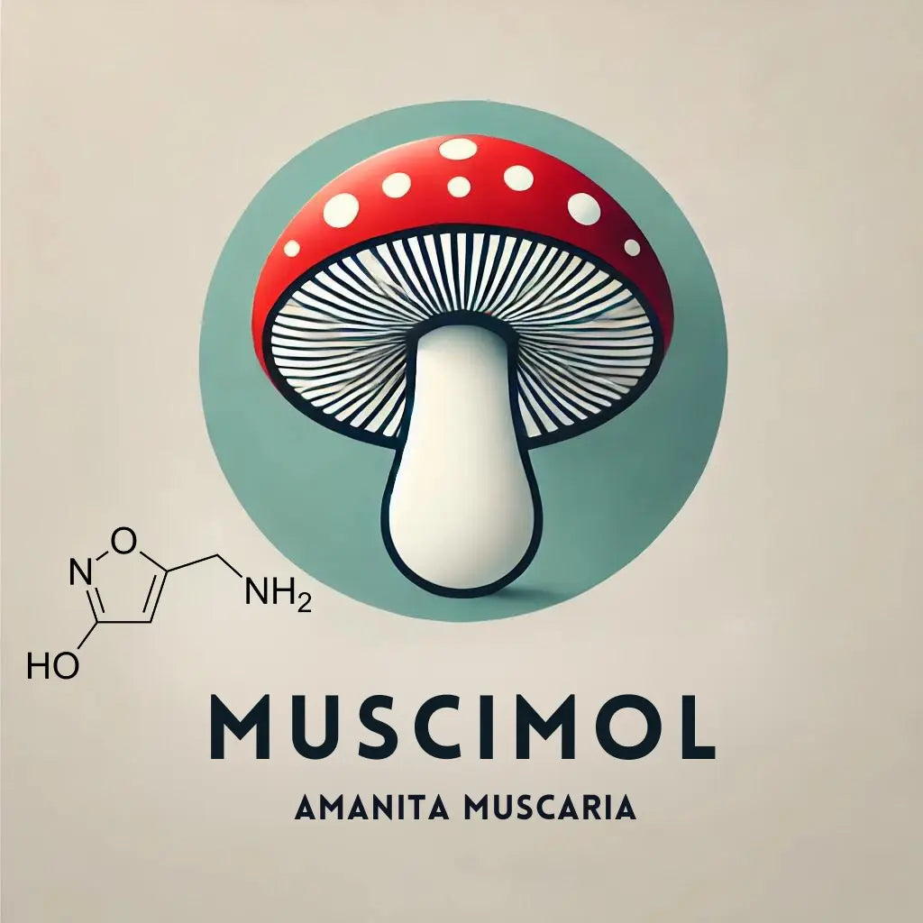 Was ist Muscimol? – Alles Wissenswerte über den Wirkstoff aus dem Fliegenpilz