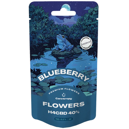 Canntropy H4CBD Blüten | Blueberry - 40% Brands of Hemp