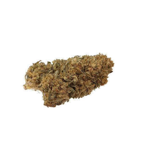H4CBD Blüten | Hammer Haze | 40 % H4CBD - Euphoria - Jay-Tea