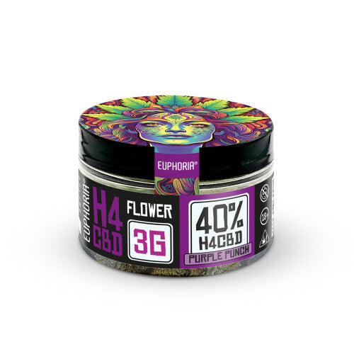 H4CBD Blüten | Purple Punch | 40 % H4CBD - Euphoria - Jay-Tea