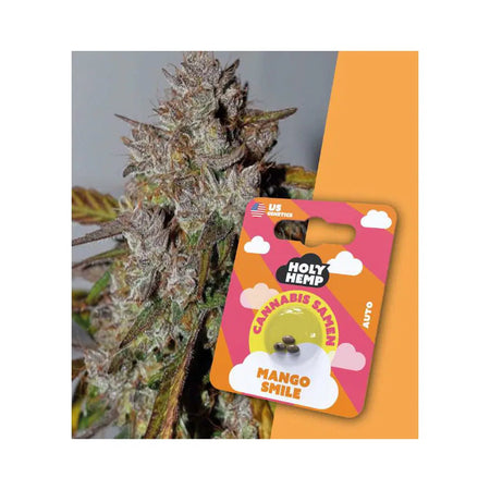 Auto Flowering THC Cannabissamen - Mango Smile - 3 Samen Hanfsamen HOLY HEMP