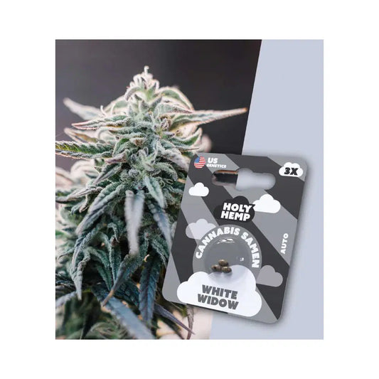 Auto Flowering THC Cannabissamen - White Widow - 3 Samen