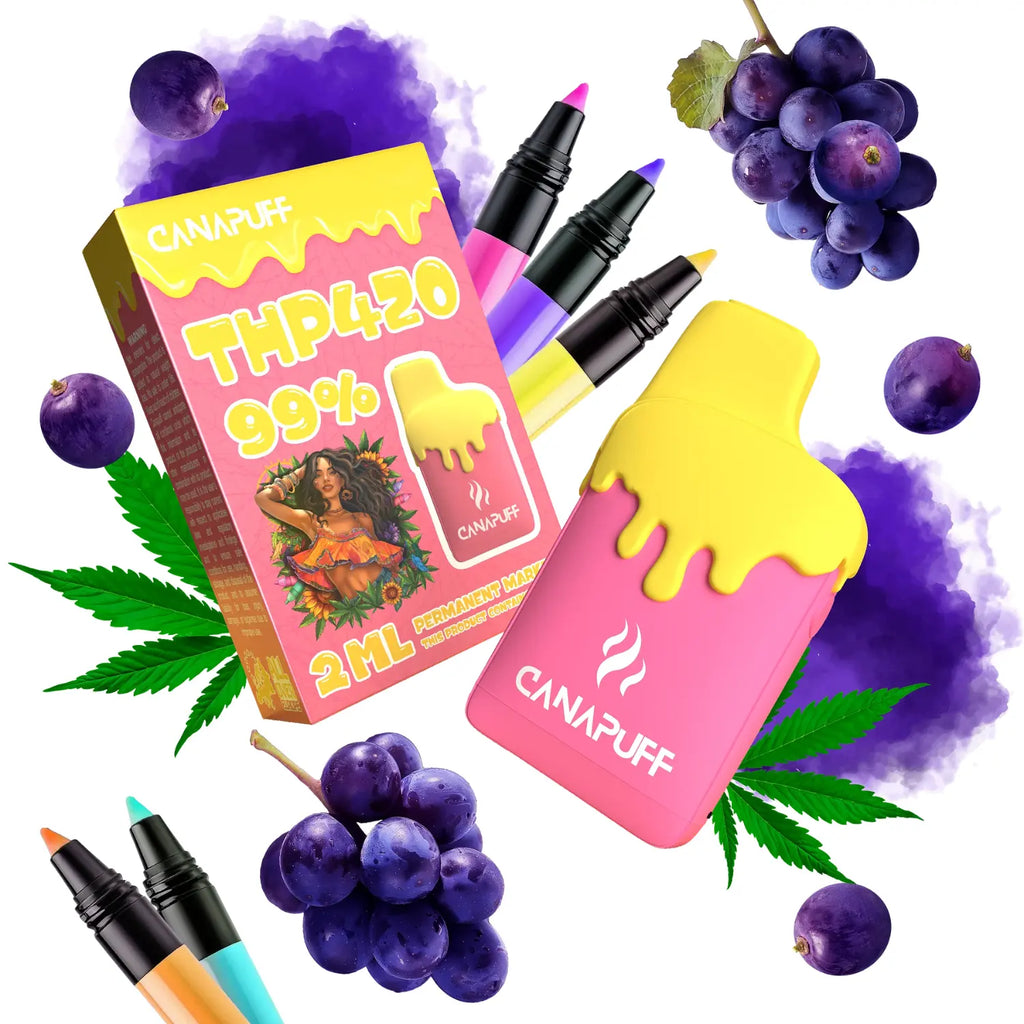 Canapuff THP420 Vape - Einweg-Vape | Permanent Marker - 99% - 2ml