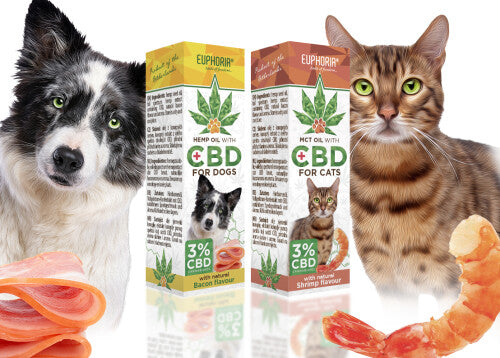 Vollspektrum CBD Öl für Hunde & Katzen | 3 % CBD - Euphoria - Jay-Tea