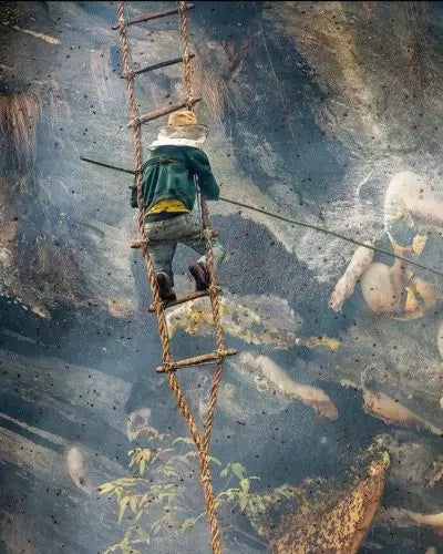 Real Mad Honey Nepal Honig Real Mad Honey